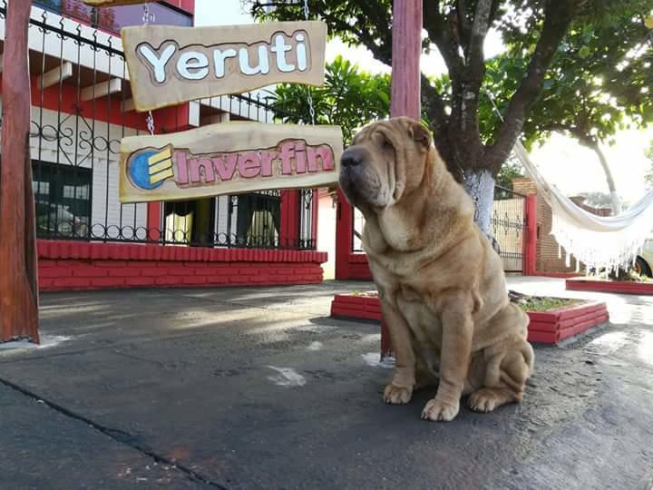 Posada Turistica Yeruti Encarnacion Exterior photo